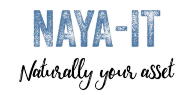 NaYA-IT